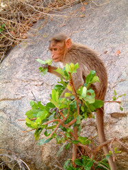 Similar image 2728222