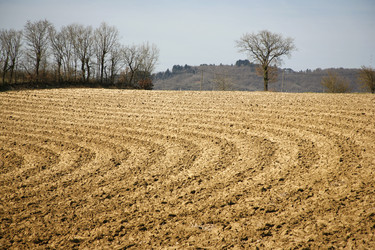 Similar image 2728256