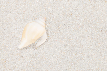 Similar image 2728406