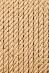 Similar image 2728414