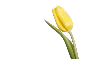 Similar image 2728429