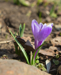 Similar image 2728471