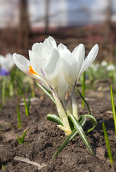 Similar image 2728486