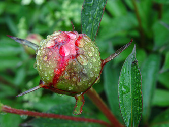 Similar image 2728492