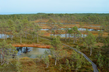 Similar image 2728495