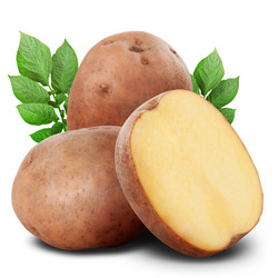 Similar image 2728518