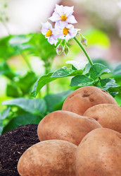 Similar image 2728520