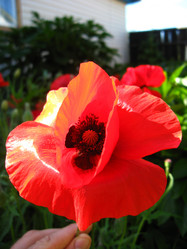 Similar image 2728577