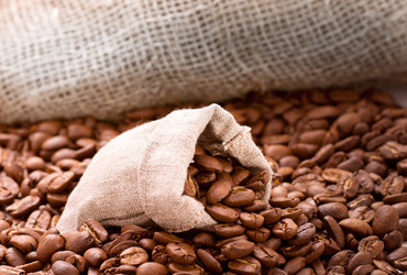 Similar image 2728645