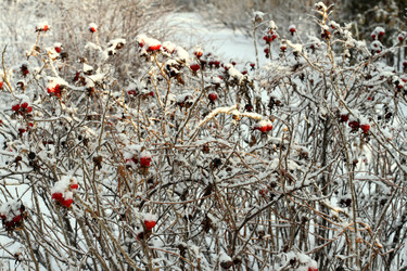 Similar image 2728777