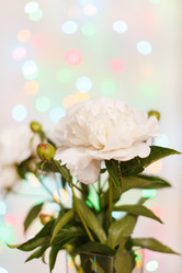 Similar image 2728842