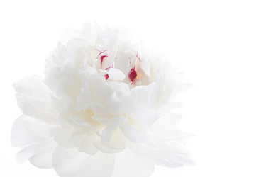 Similar image 2728843