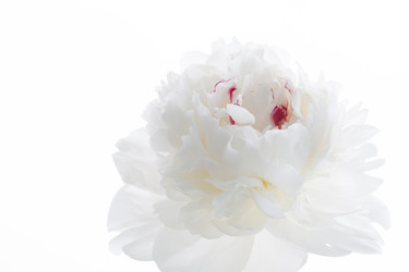 Similar image 2728844