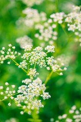 Similar image 2728868