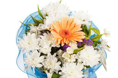 Similar image 2728869