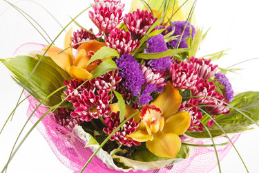 Similar image 2728872