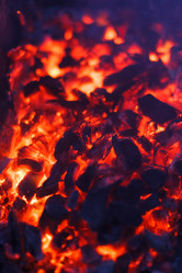 Similar image 2728877