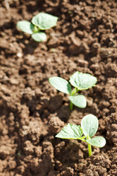 Similar image 2728886