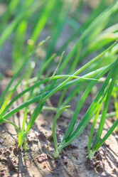 Similar image 2728887