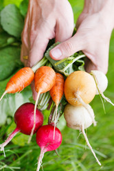 Similar image 2728893