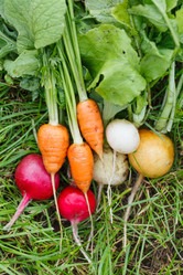 Similar image 2728894