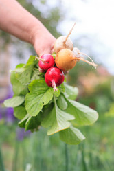 Similar image 2728895