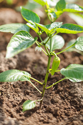 Similar image 2728896