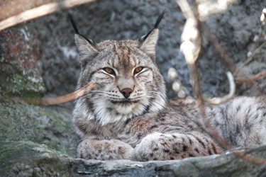 Similar image 2728897