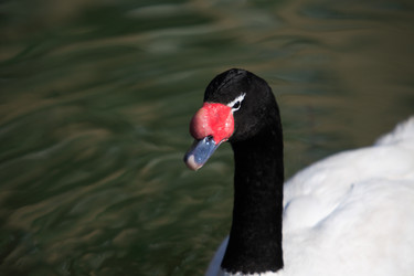 Similar image 2728903