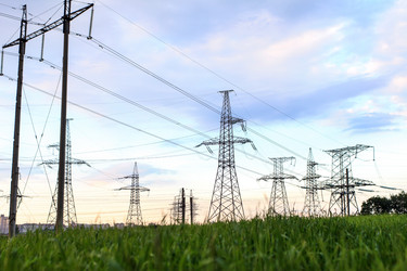 Similar image 2728938