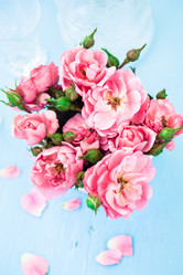 Similar image 2728952