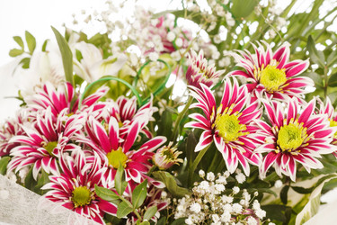 Similar image 2728954