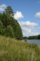 Similar image 2728955