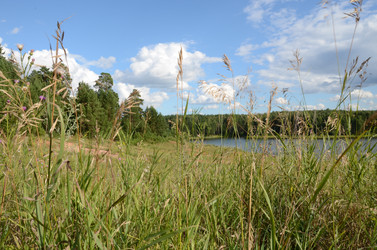 Similar image 2728956