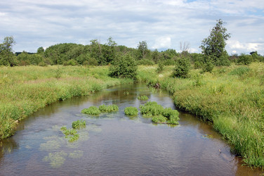 Similar image 2728958