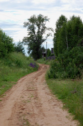 Similar image 2728959