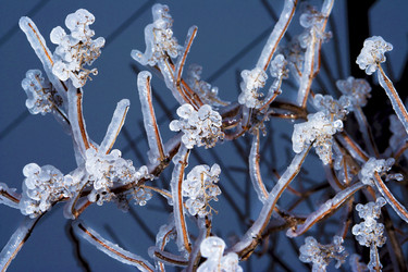 Similar image 2728965