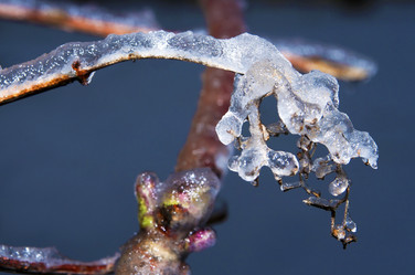 Similar image 2728966