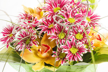 Similar image 2728992