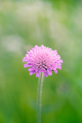 Similar image 2728993