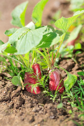 Similar image 2728996