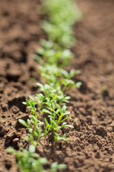 Similar image 2728997