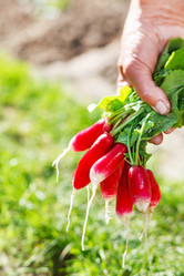 Similar image 2728998