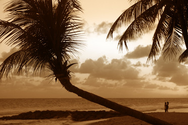 Similar image 2729017