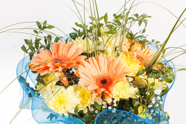 Similar image 2729038