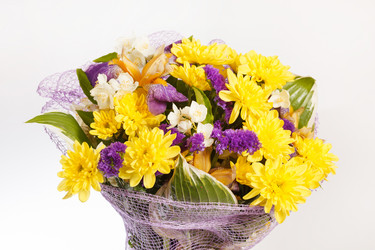 Similar image 2729039