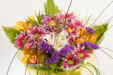 Similar image 2729042