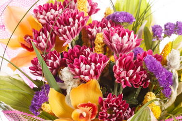 Similar image 2729043