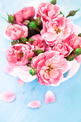 Similar image 2729053