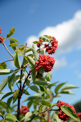 Similar image 2729057